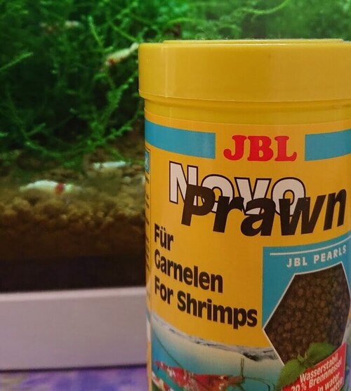 Is It Possible To Overfeed Cherry Shrimp?